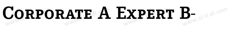 Corporate A Expert B字体转换